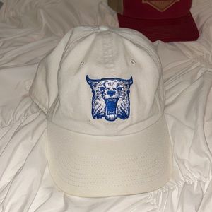 UK Wildcats Baseball Cap